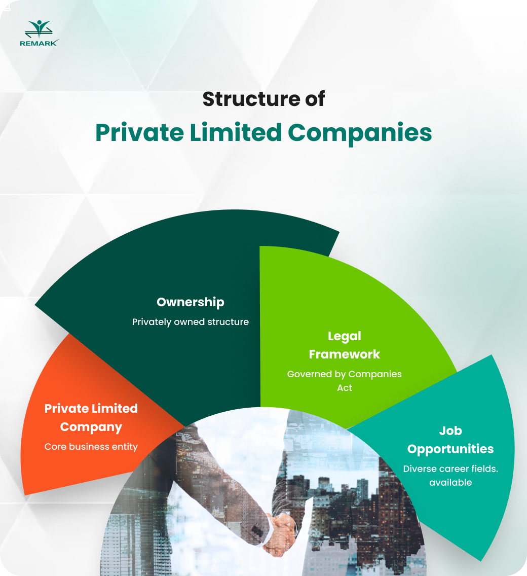 Job in Private Limited Firms